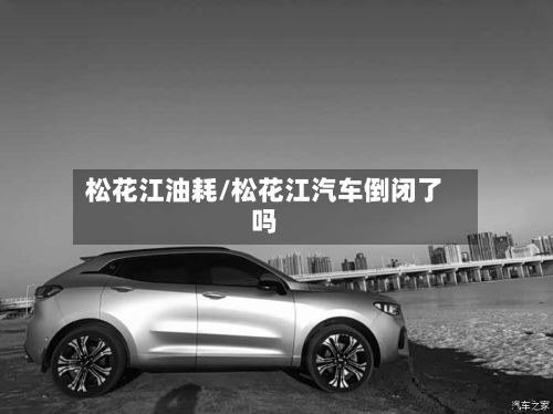 松花江油耗/松花江汽车倒闭了吗