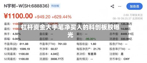 杠杆资金大手笔净买入的科创板股曝光