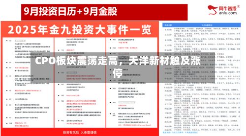 CPO板块震荡走高，天洋新材触及涨停-第2张图片