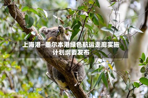 上海港—墨尔本港绿色航运走廊实施计划纲要发布-第2张图片