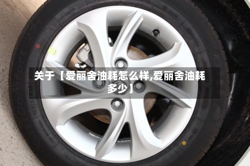 关于【爱丽舍油耗怎么样,爱丽舍油耗多少】-第2张图片