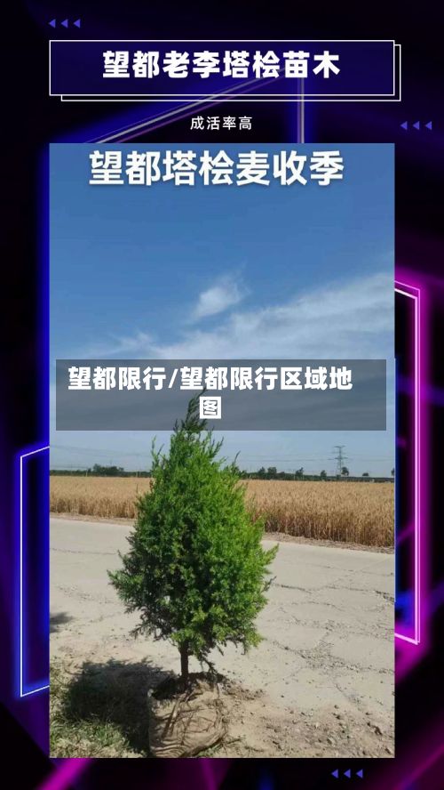 望都限行/望都限行区域地图-第2张图片