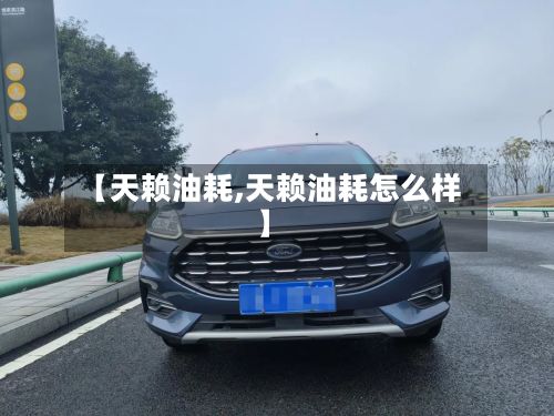 【天赖油耗,天赖油耗怎么样】