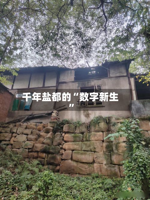 千年盐都的“数字新生”-第2张图片