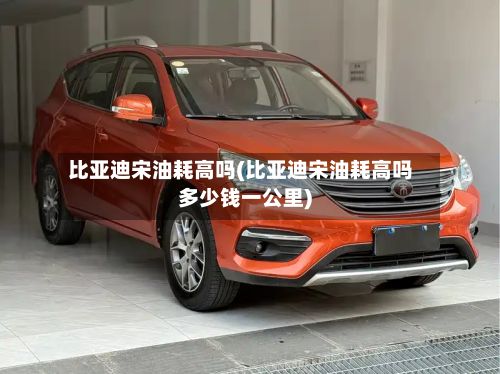 比亚迪宋油耗高吗(比亚迪宋油耗高吗多少钱一公里)-第3张图片