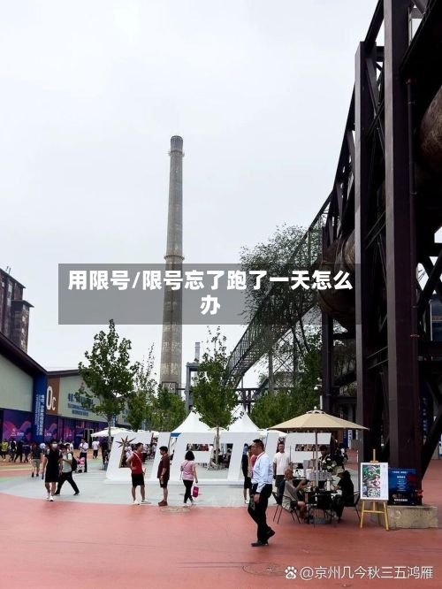 用限号/限号忘了跑了一天怎么办