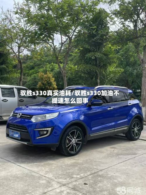 驭胜s330真实油耗/驭胜s330加油不提速怎么回事-第1张图片