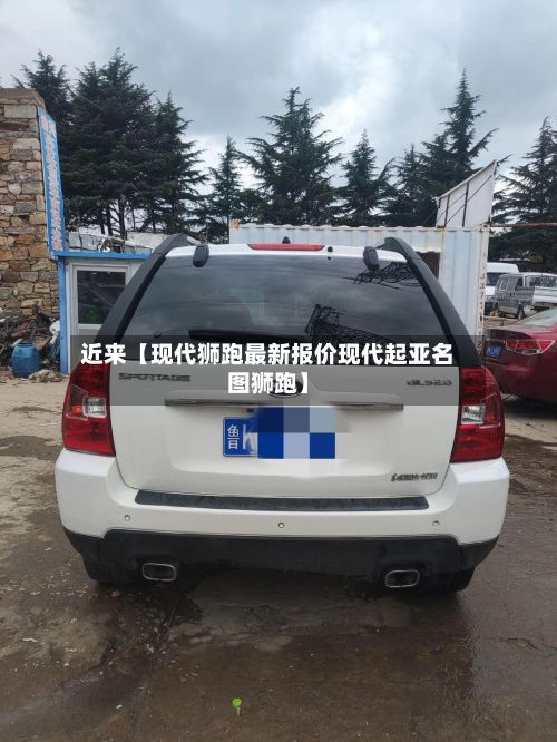 近来【现代狮跑最新报价现代起亚名图狮跑】
