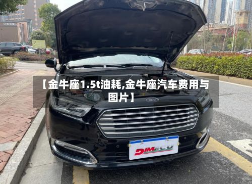 【金牛座1.5t油耗,金牛座汽车费用与图片】-第2张图片