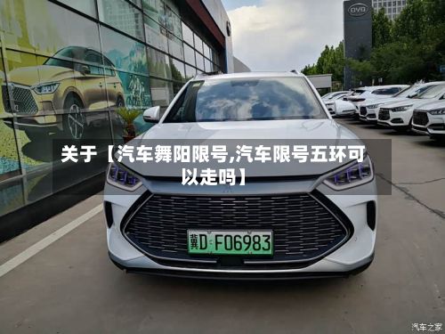 关于【汽车舞阳限号,汽车限号五环可以走吗】