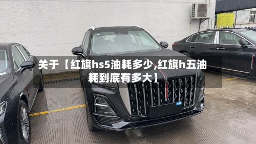 关于【红旗hs5油耗多少,红旗h五油耗到底有多大】-第2张图片
