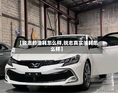 【锐志的油耗怎么样,锐志真实油耗怎么样】-第3张图片