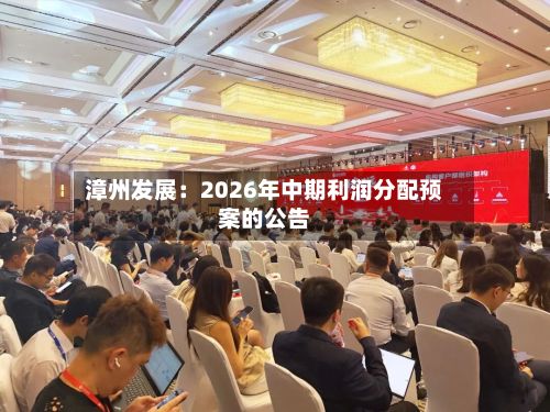 漳州发展：2026年中期利润分配预案的公告