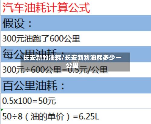 长安新豹油耗/长安新豹油耗多少一公里