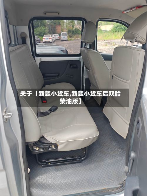 关于【新款小货车,新款小货车后双胎柴油版】-第3张图片