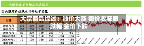 大宗商品综述：油价大涨 铜价收窄周跌幅 金价下跌-第3张图片