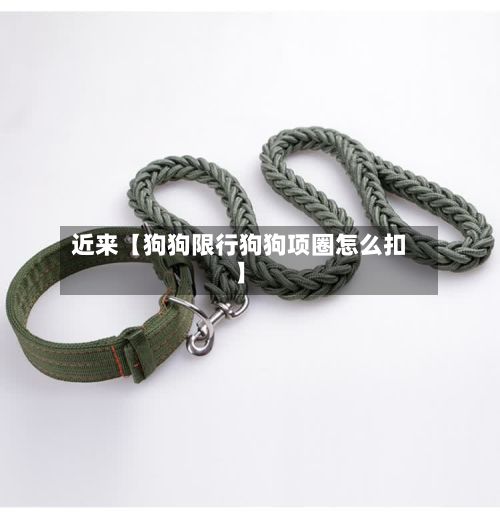 近来【狗狗限行狗狗项圈怎么扣】-第3张图片