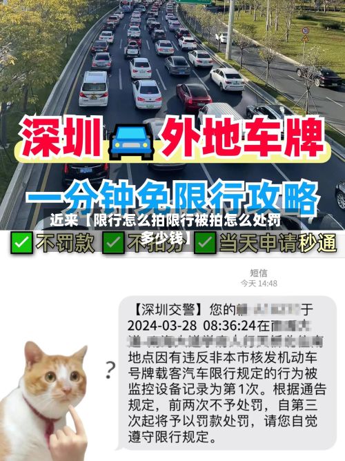 近来【限行怎么拍限行被拍怎么处罚多少钱】