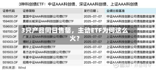 3只产品同日售罄，主动ETF为何这么火？-第2张图片